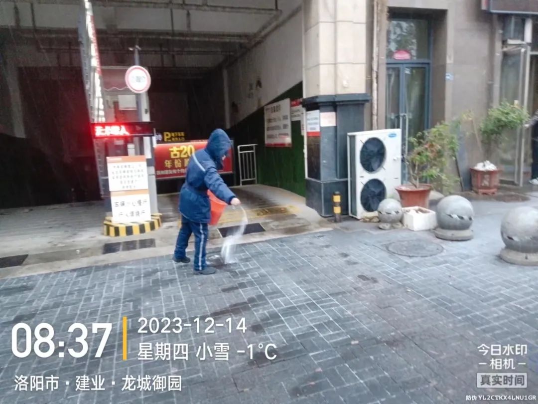 高能绿战队丨冰冻升级，温暖力UP！