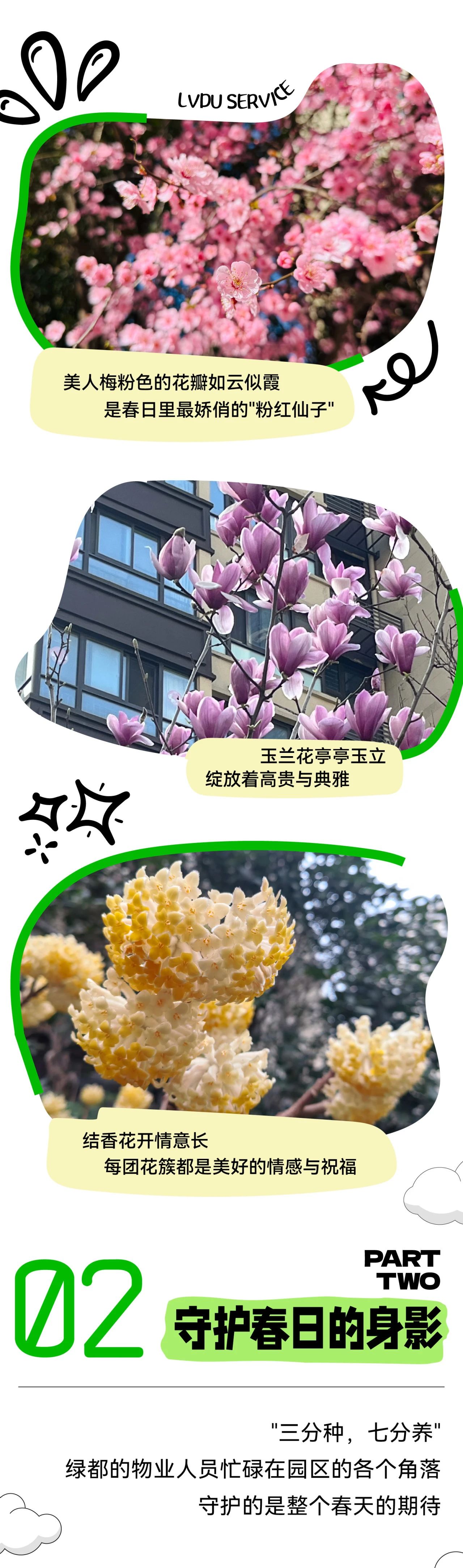 绿都春日限定丨邂逅一场与美好有关的仪式