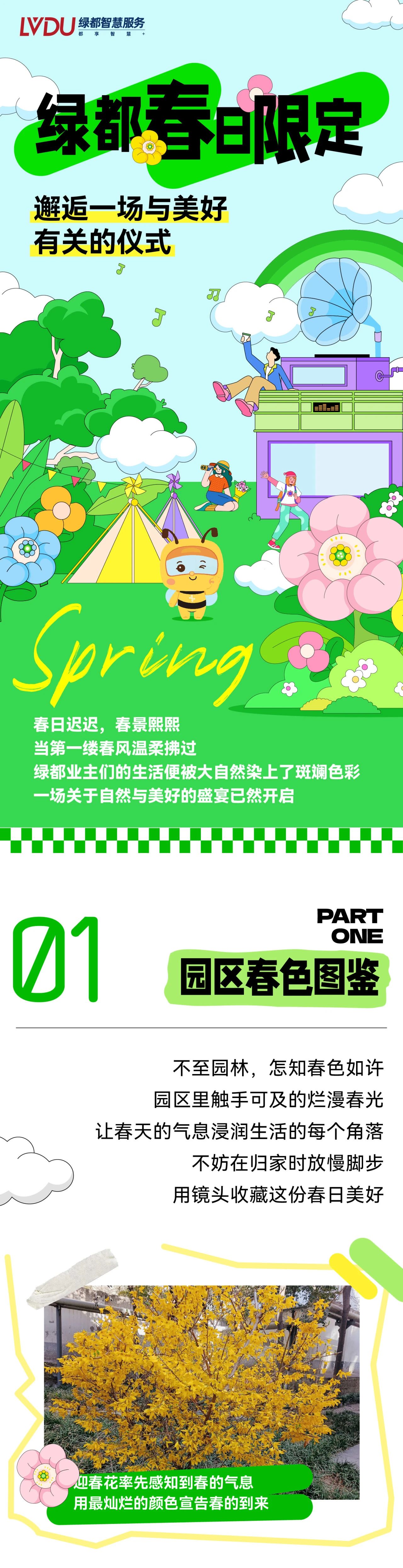 绿都春日限定丨邂逅一场与美好有关的仪式