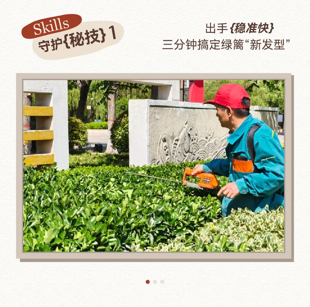 围观绿都“宝藏比武”：笑到打鸣，又差点哭了