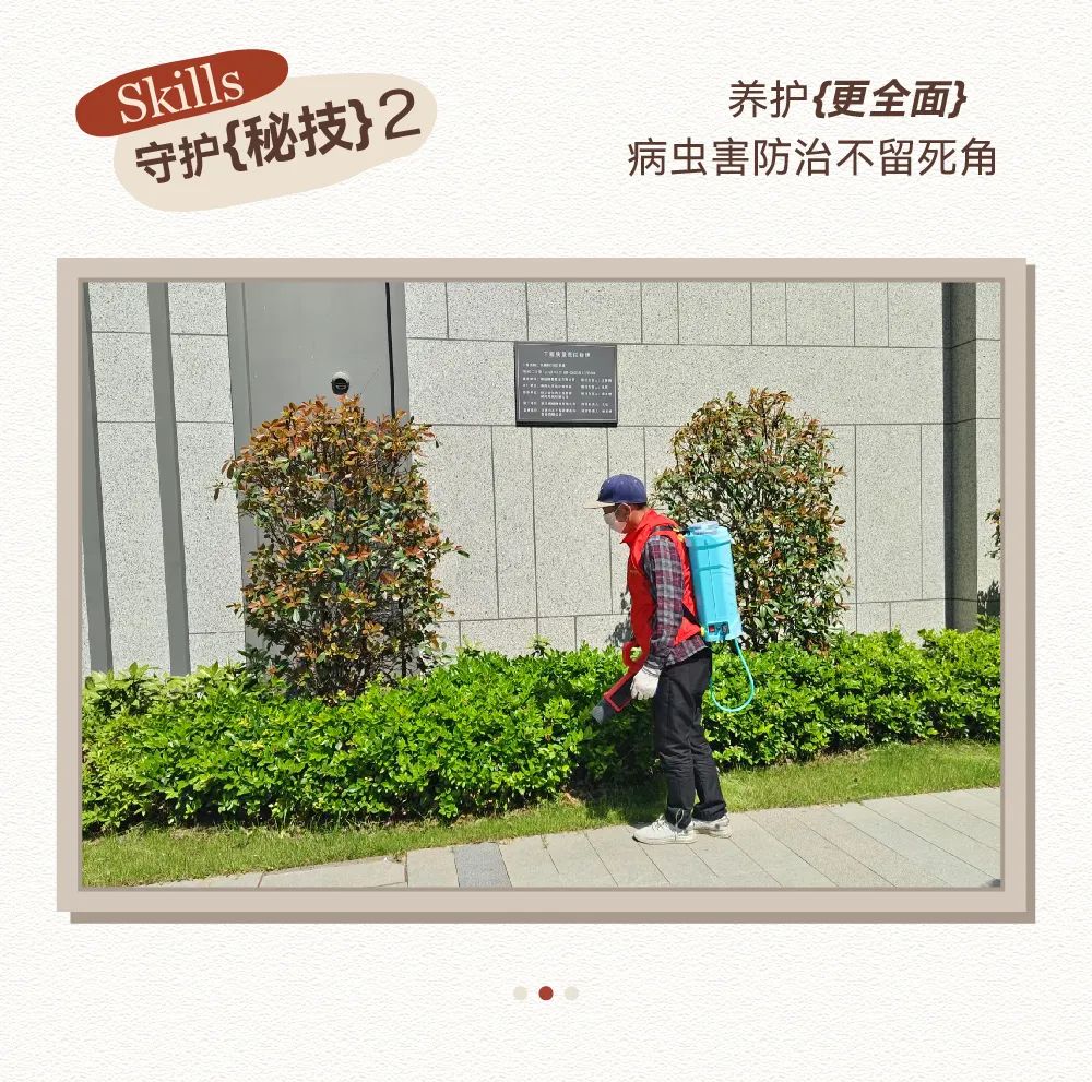 围观绿都“宝藏比武”：笑到打鸣，又差点哭了