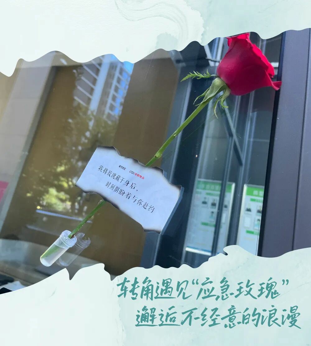 两情如是久长时，就是要朝朝暮暮