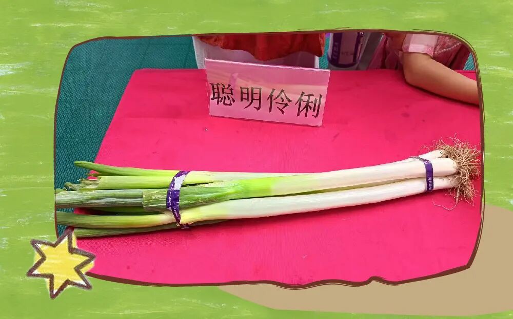 开学的底气，原来都在这个夏天的成长里