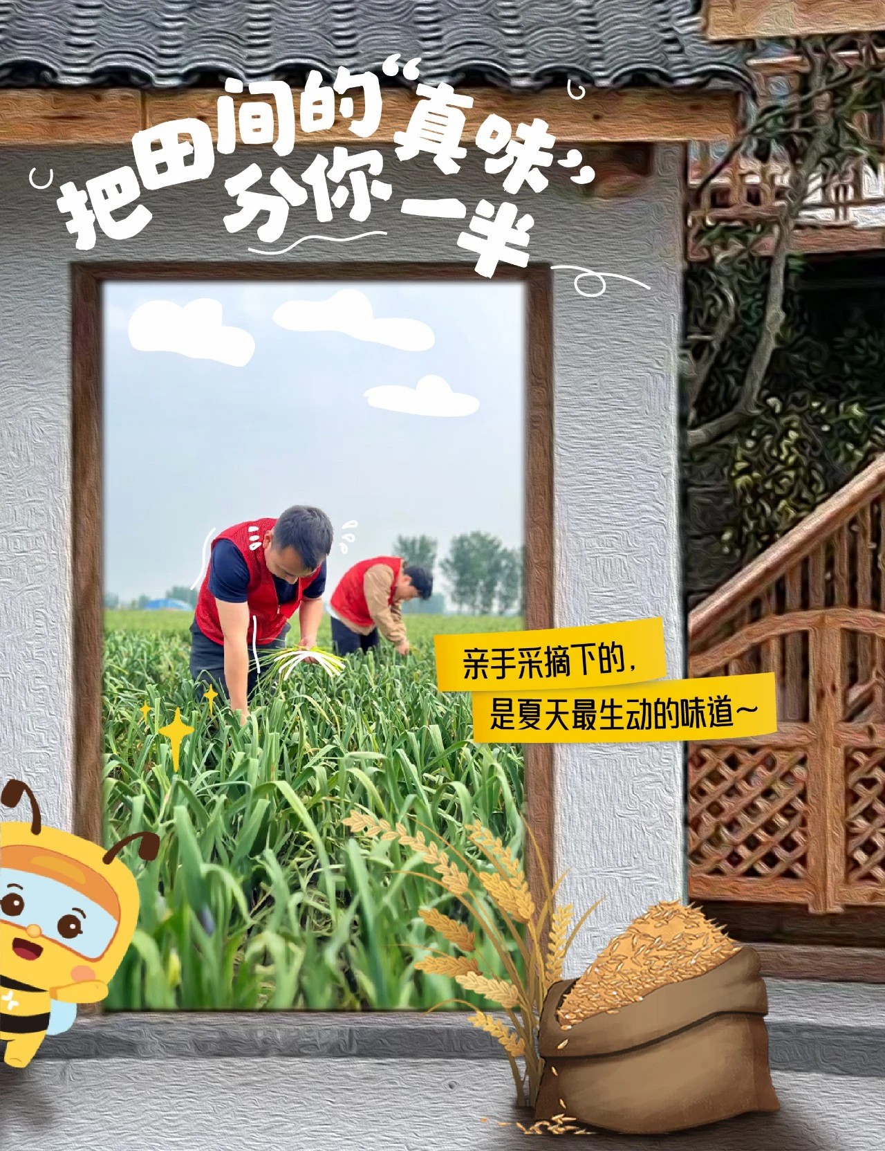 99公益 公益久久 | 绿都将世界的丰盈分你一半