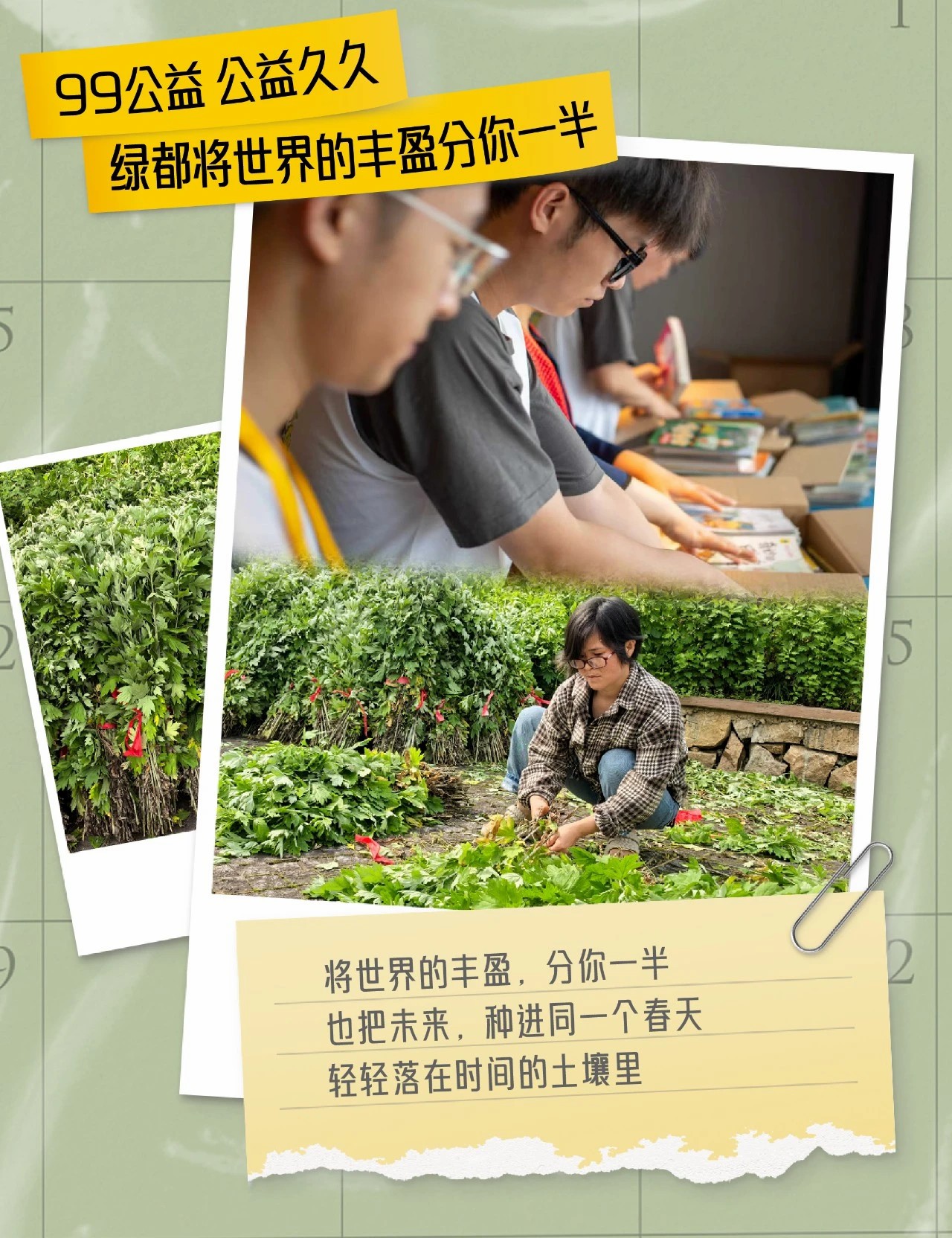 99公益 公益久久 | 绿都将世界的丰盈分你一半