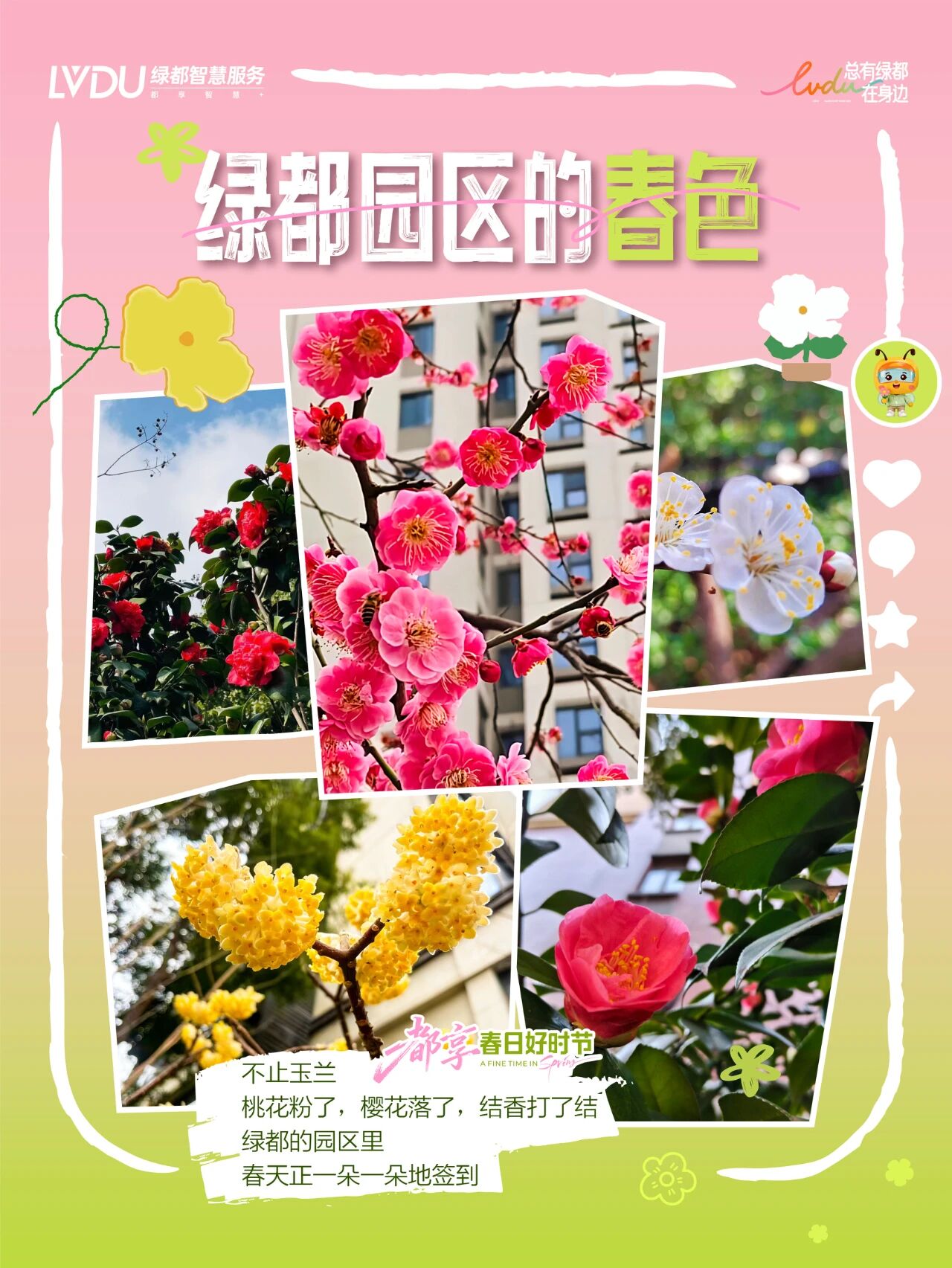 我们的春天，是花花花花的世界