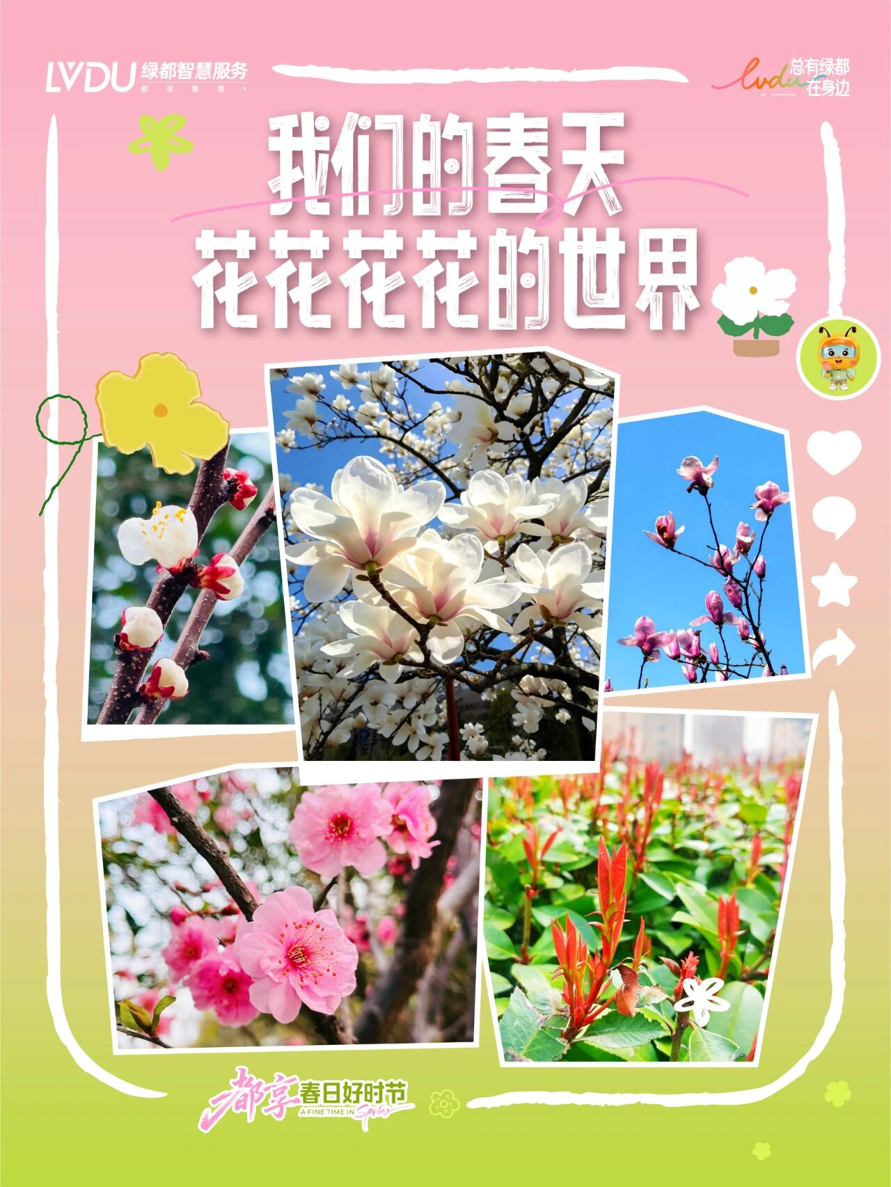 我们的春天，是花花花花的世界