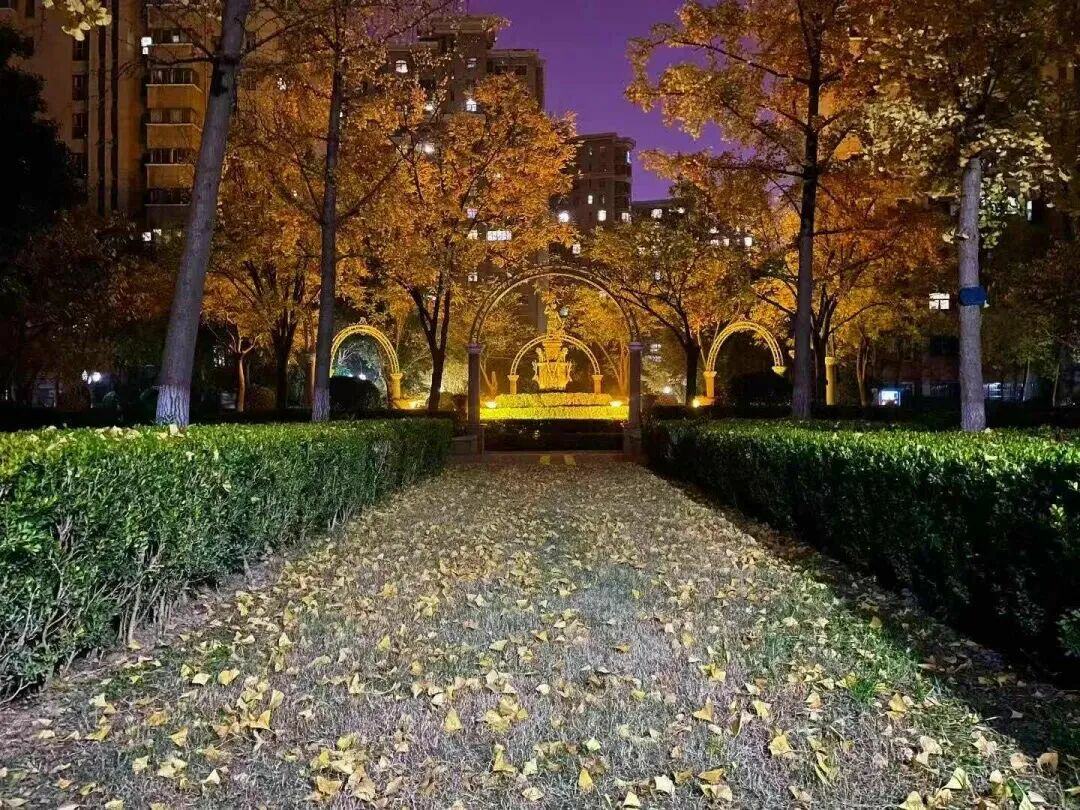 投票！绿都搞“联名”，你最稀罕谁？