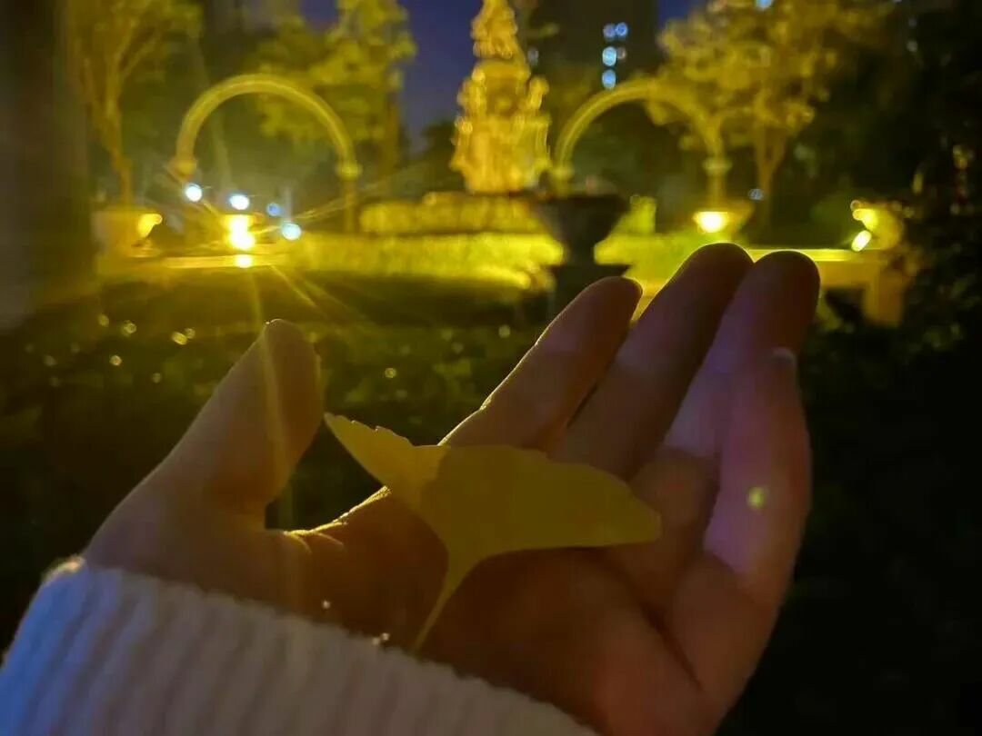 投票！绿都搞“联名”，你最稀罕谁？