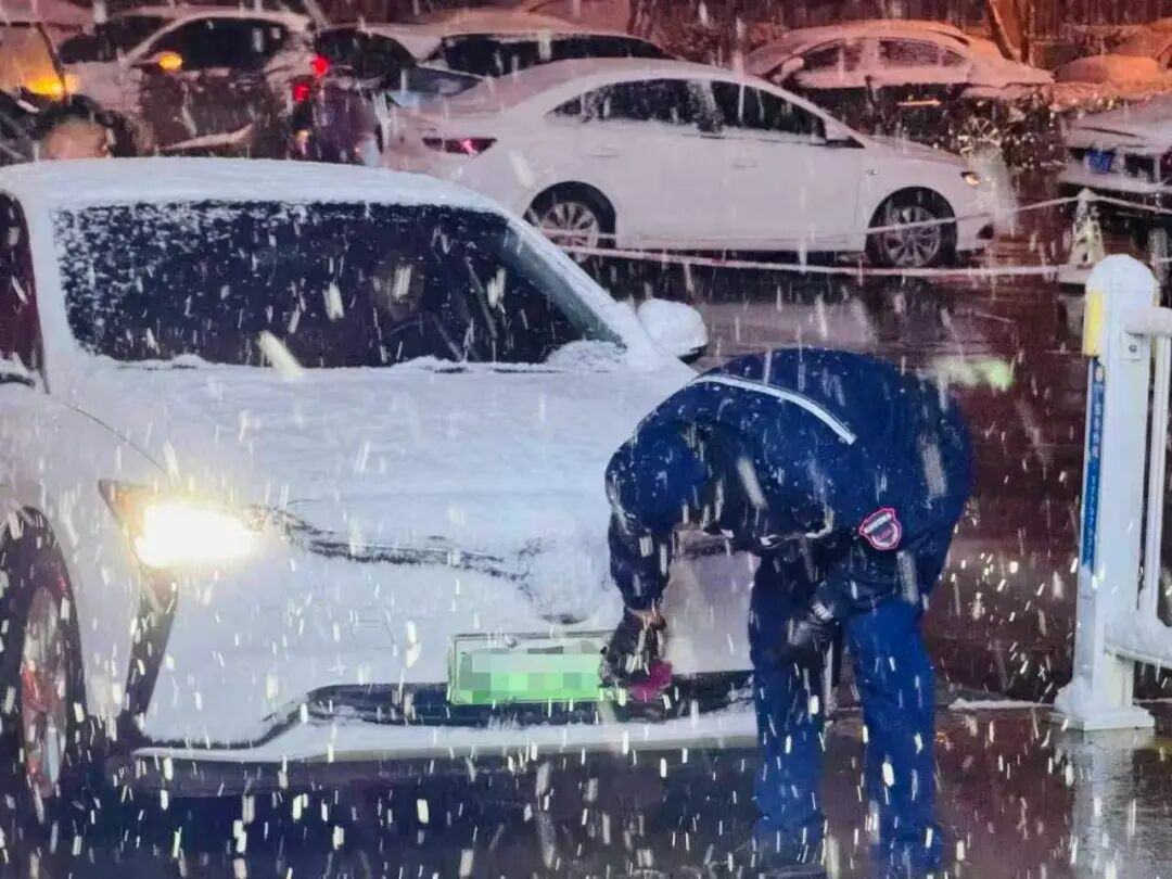 投票！绿都搞“联名”，你最稀罕谁？