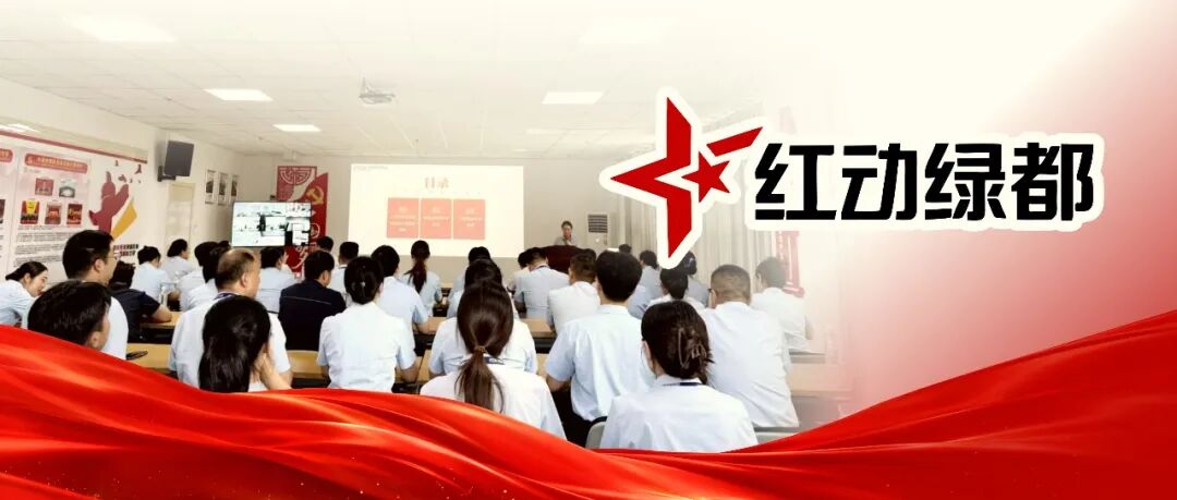 红动绿都｜上半年，他们用行动书写答案