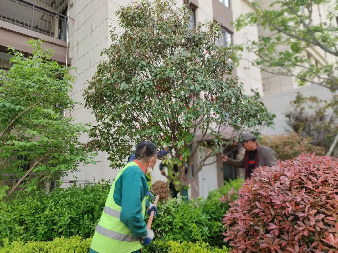 在绿都园区,爱在信任与沟通里温暖蔓延 图片